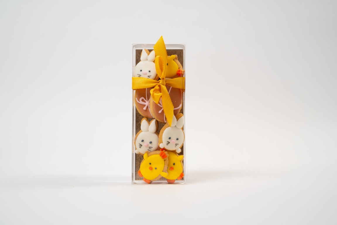 Boite de Petits Biscuits Artisanaux de Pâques — Œufs & Animaux Colorés