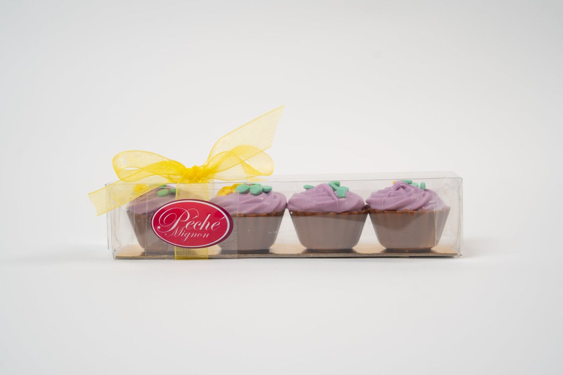 Cupcakes en Chocolat à la Myrtille