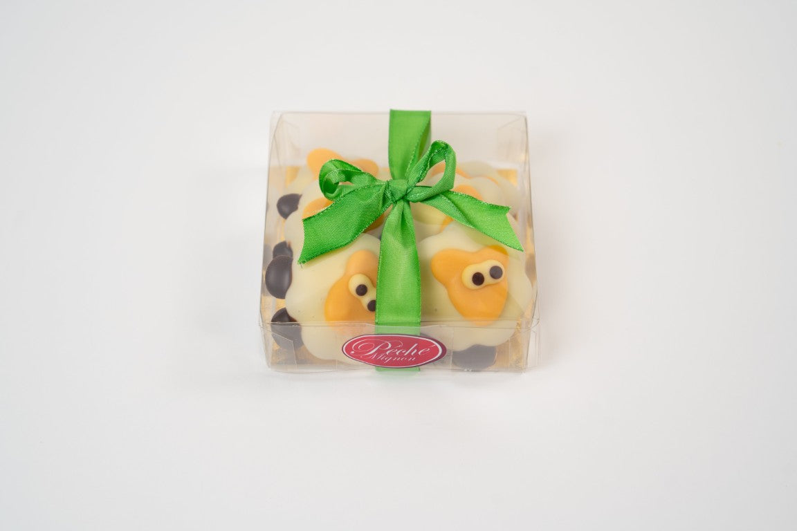 Mouton de Pâques — Chocolat Blanc & Praliné Noisettes m- Boite