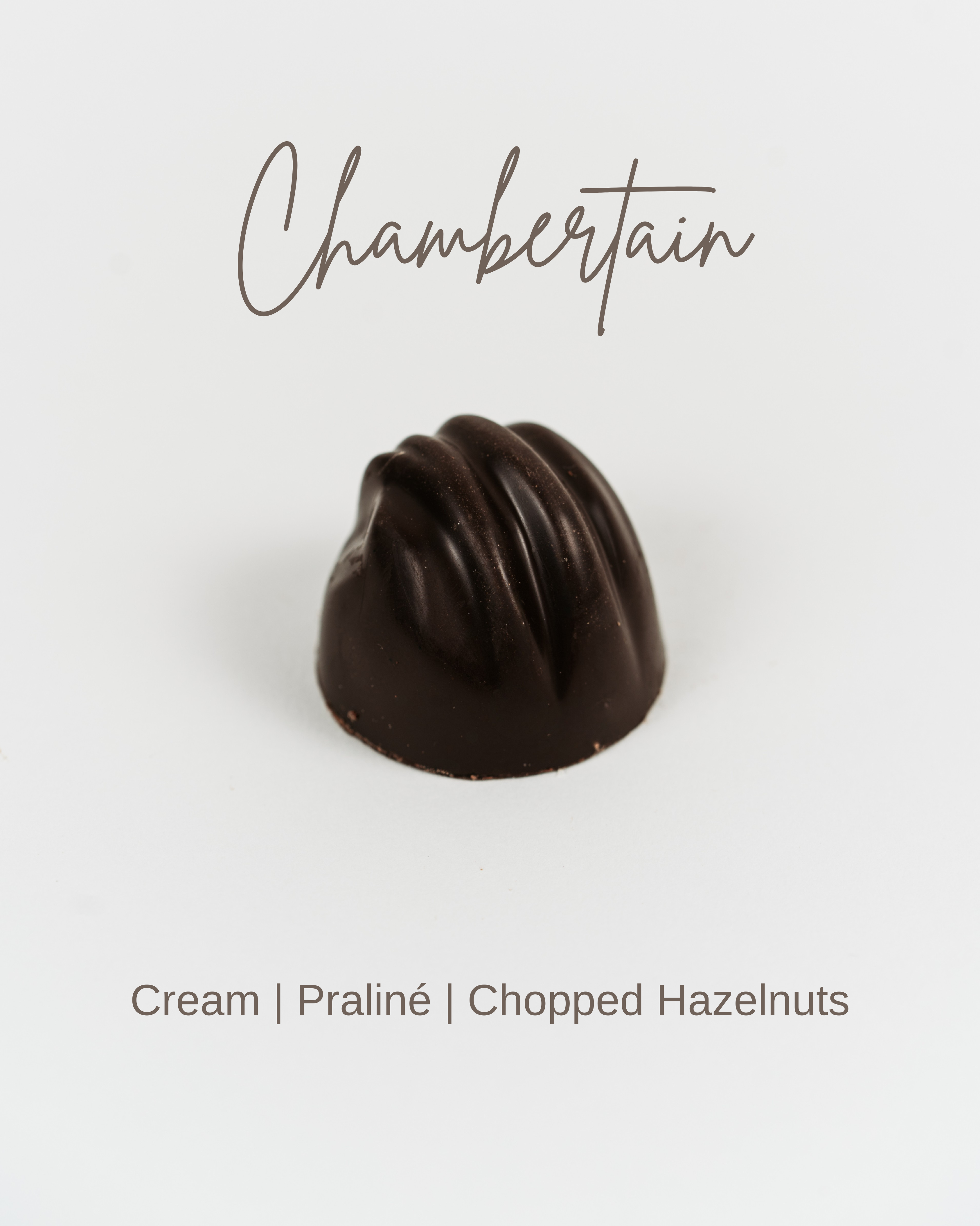 Praline Artisanale Belge Chocolat Noir Crème Praliné Noisettes