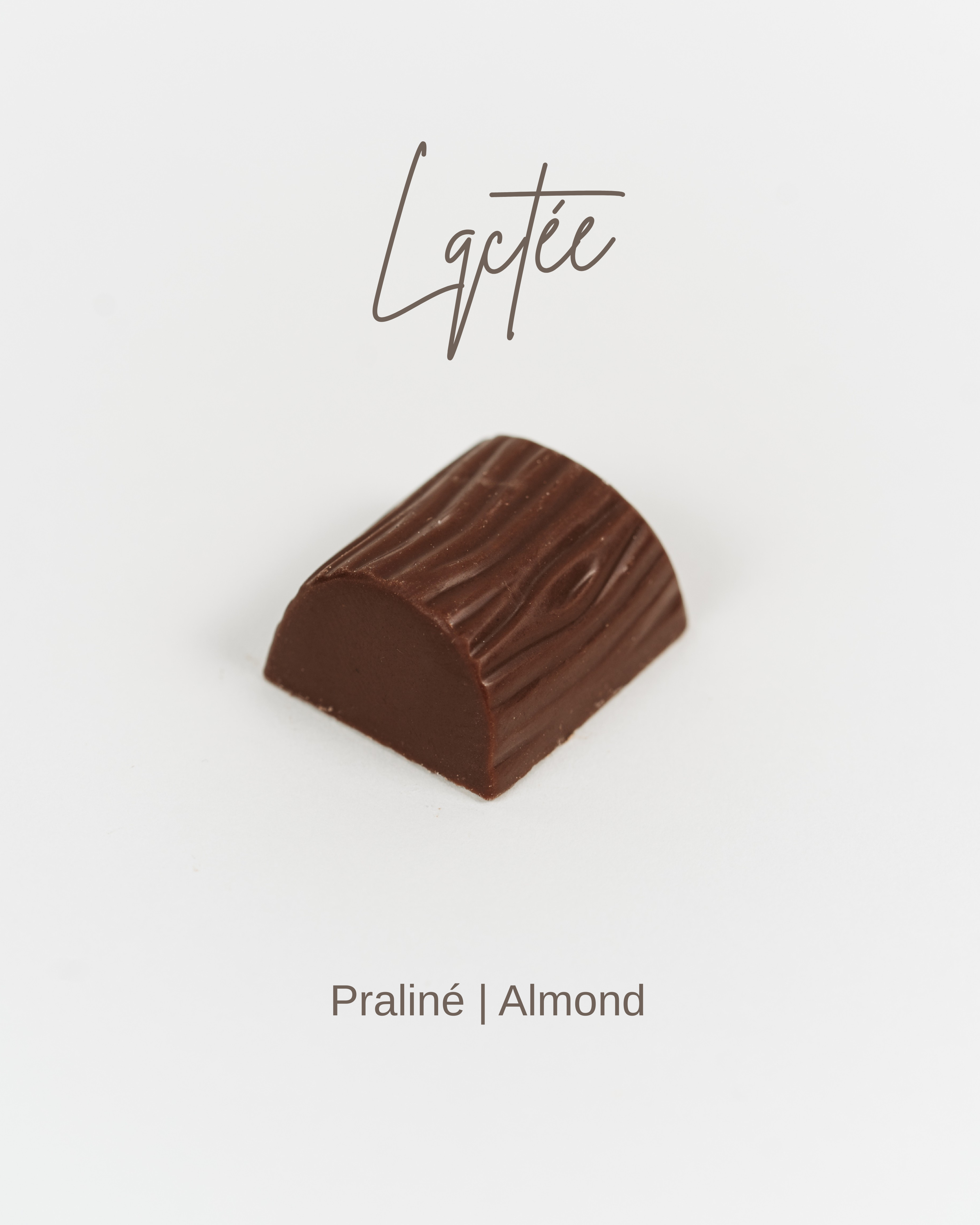 Praline Artisanale Belge Chocolat au Lait Praline Amande