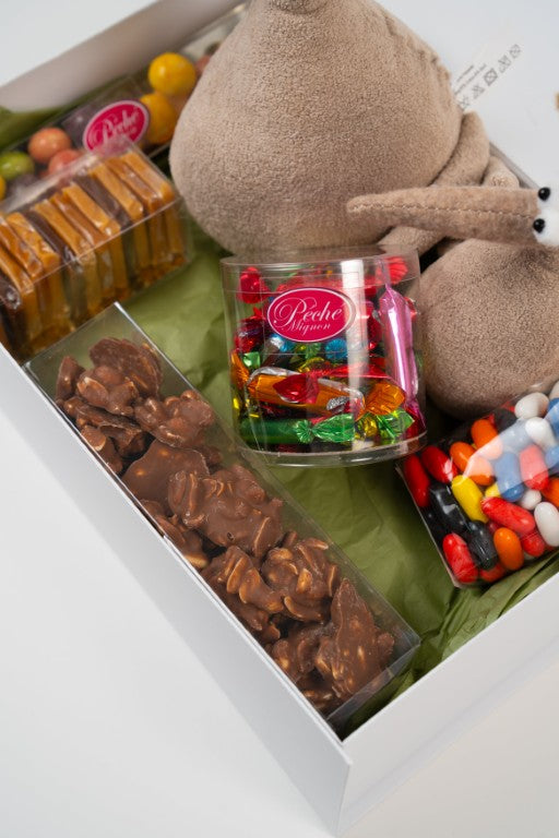 Coffret Cadeau "Les Oiseaux Gourmands" – Assortiment Confiserie & Nichoir