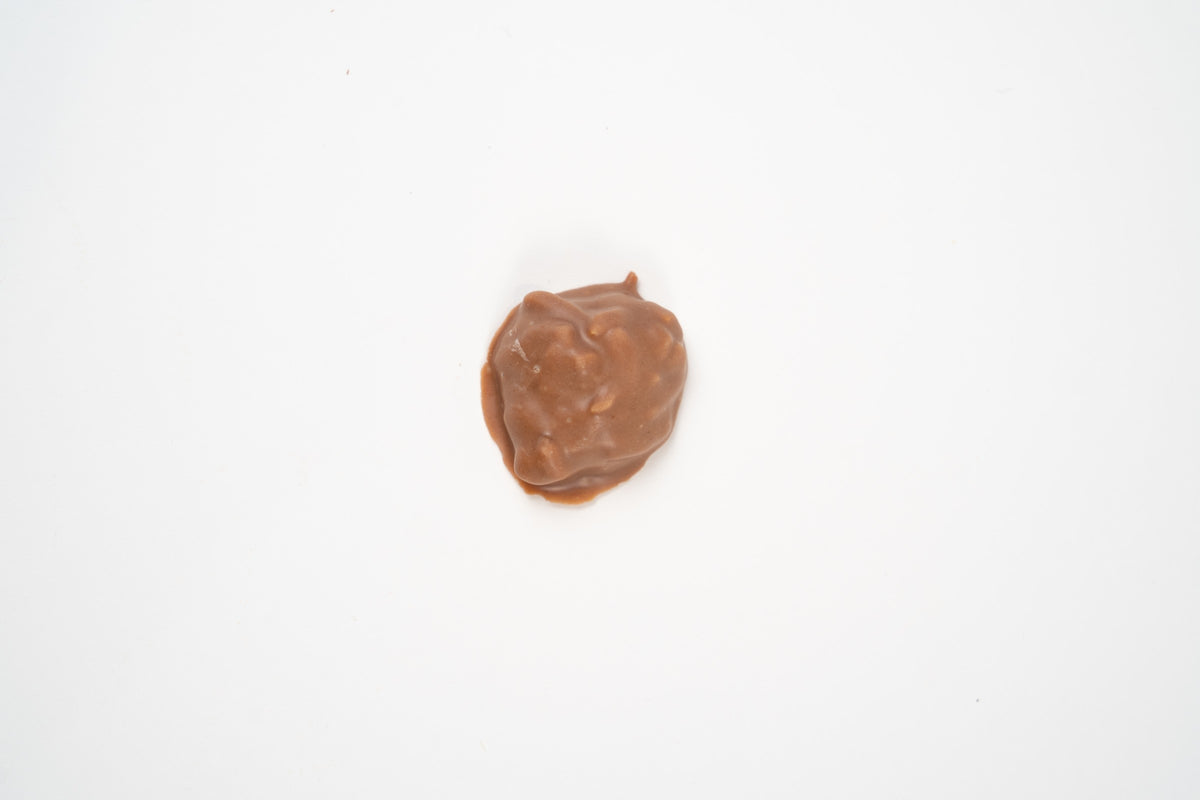 Mini Weichprinten aux noisettes enrobé de chocolat au lait, présenté individuellement sur fond blanc.
