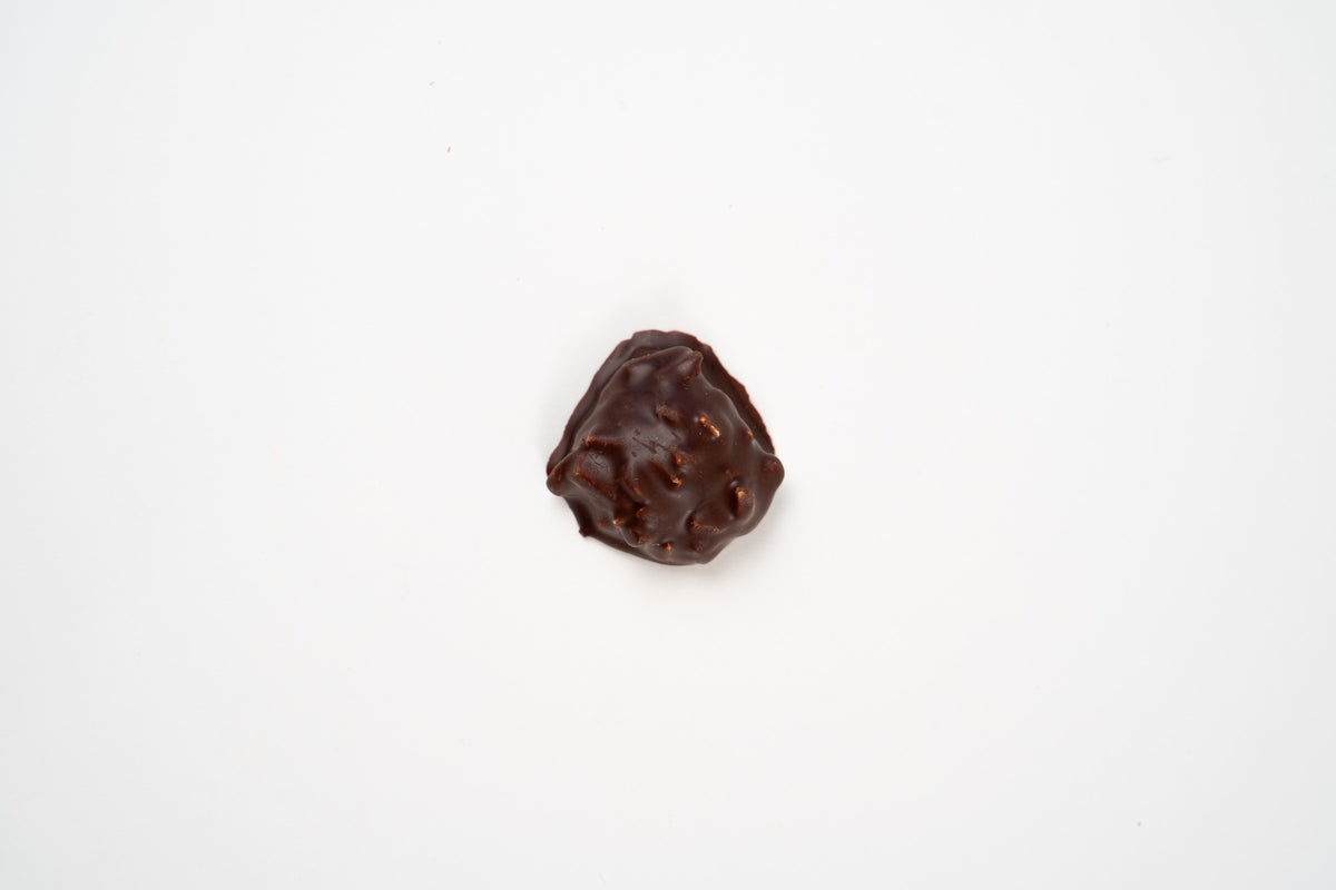 Mini Weichprinten aux noisettes enrobé de chocolat noir, présenté individuellement sur fond blanc.