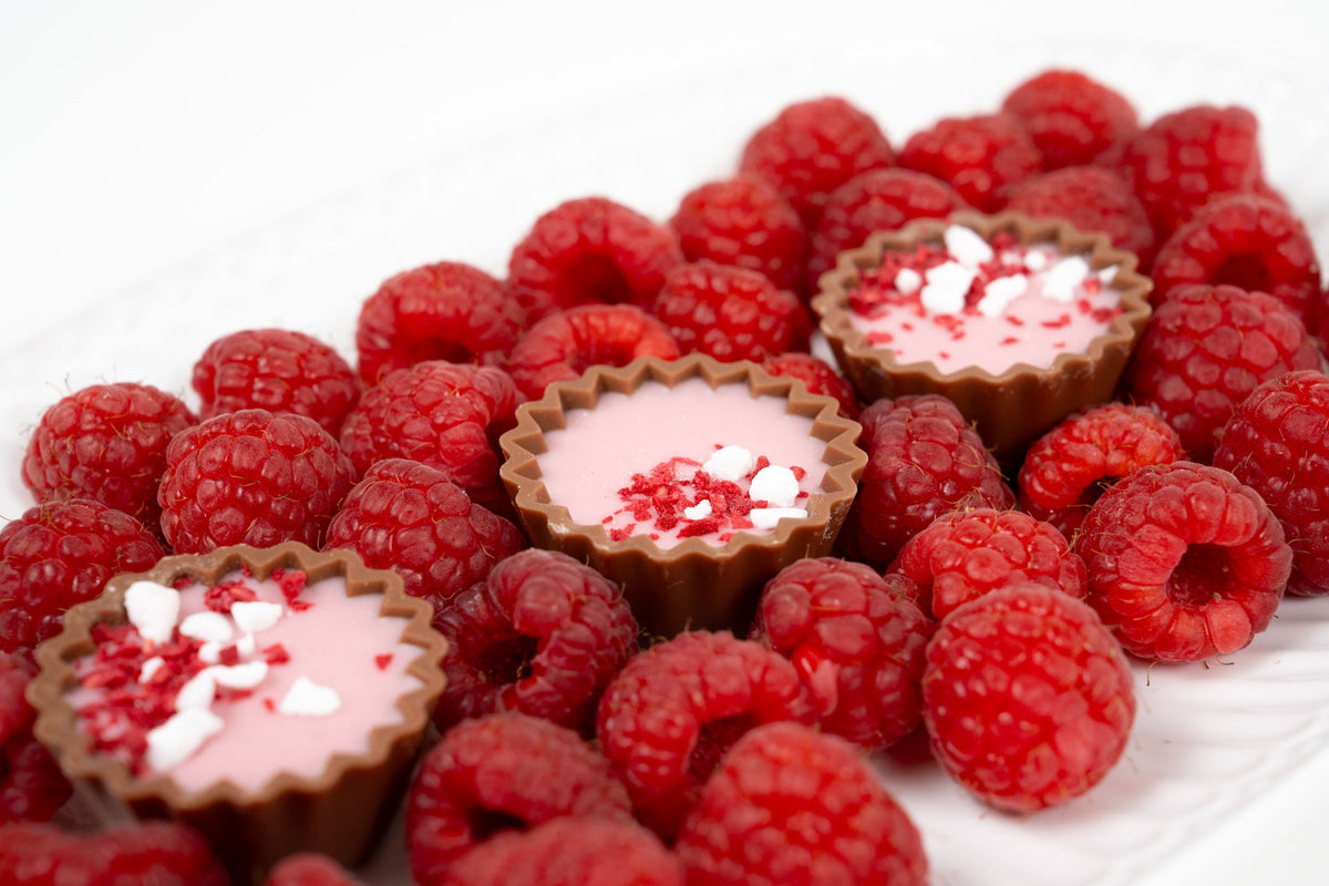 Tartelettes en chocolat belge à la ganache entourées de framboises fraîches