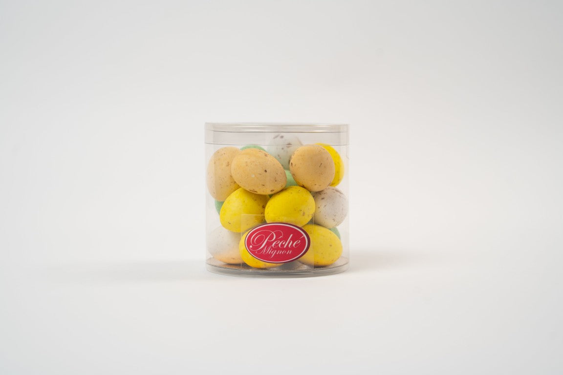 Boite Œufs de Mouettes — Praliné Noisettes Fondant