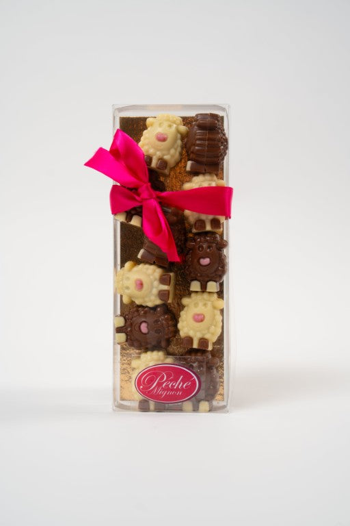 Mouton Lammy — Chocolat au Lait & Blanc Décoré Boite