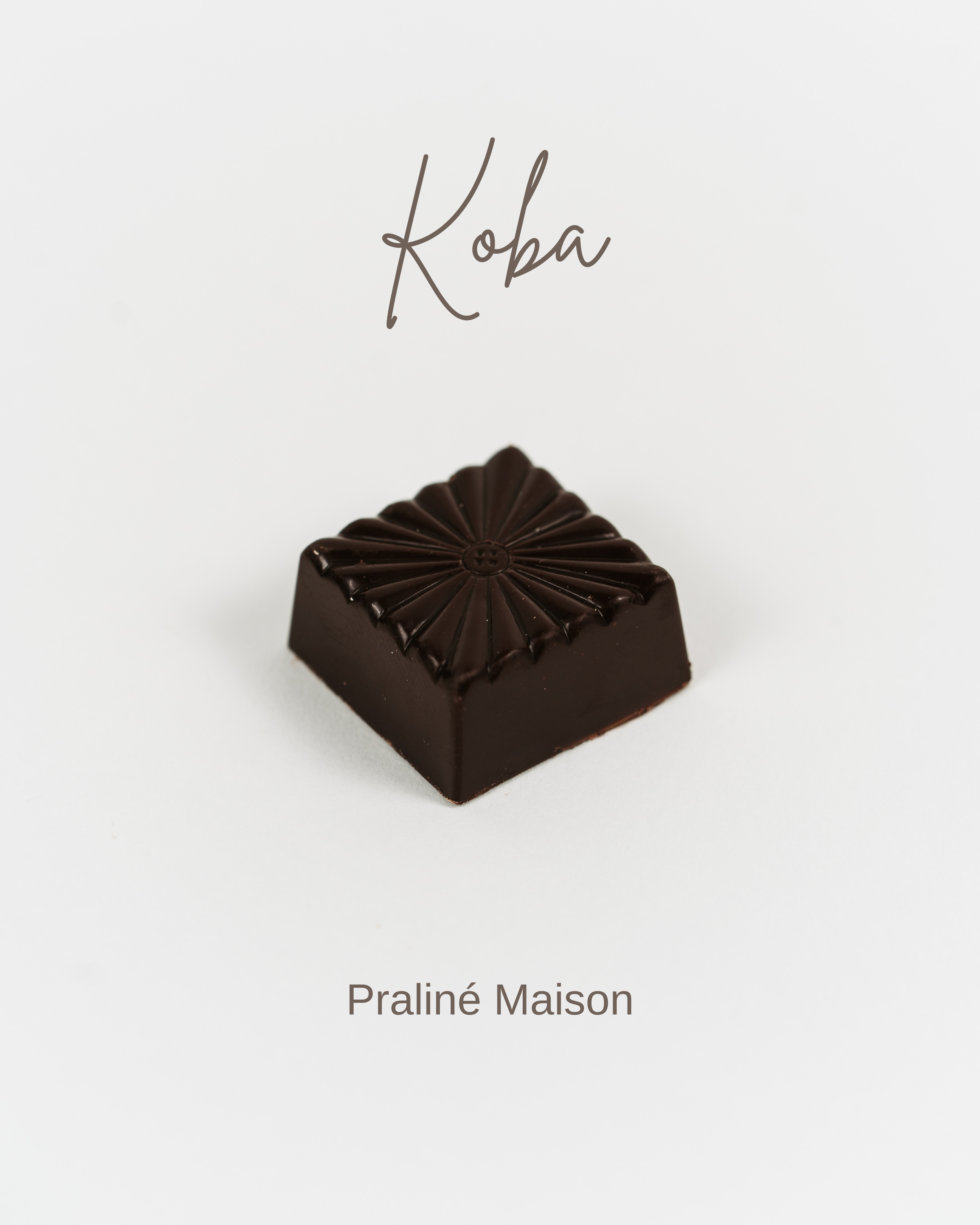 Praline Artisanale  Belge Chocolat Noir Praliné Maison