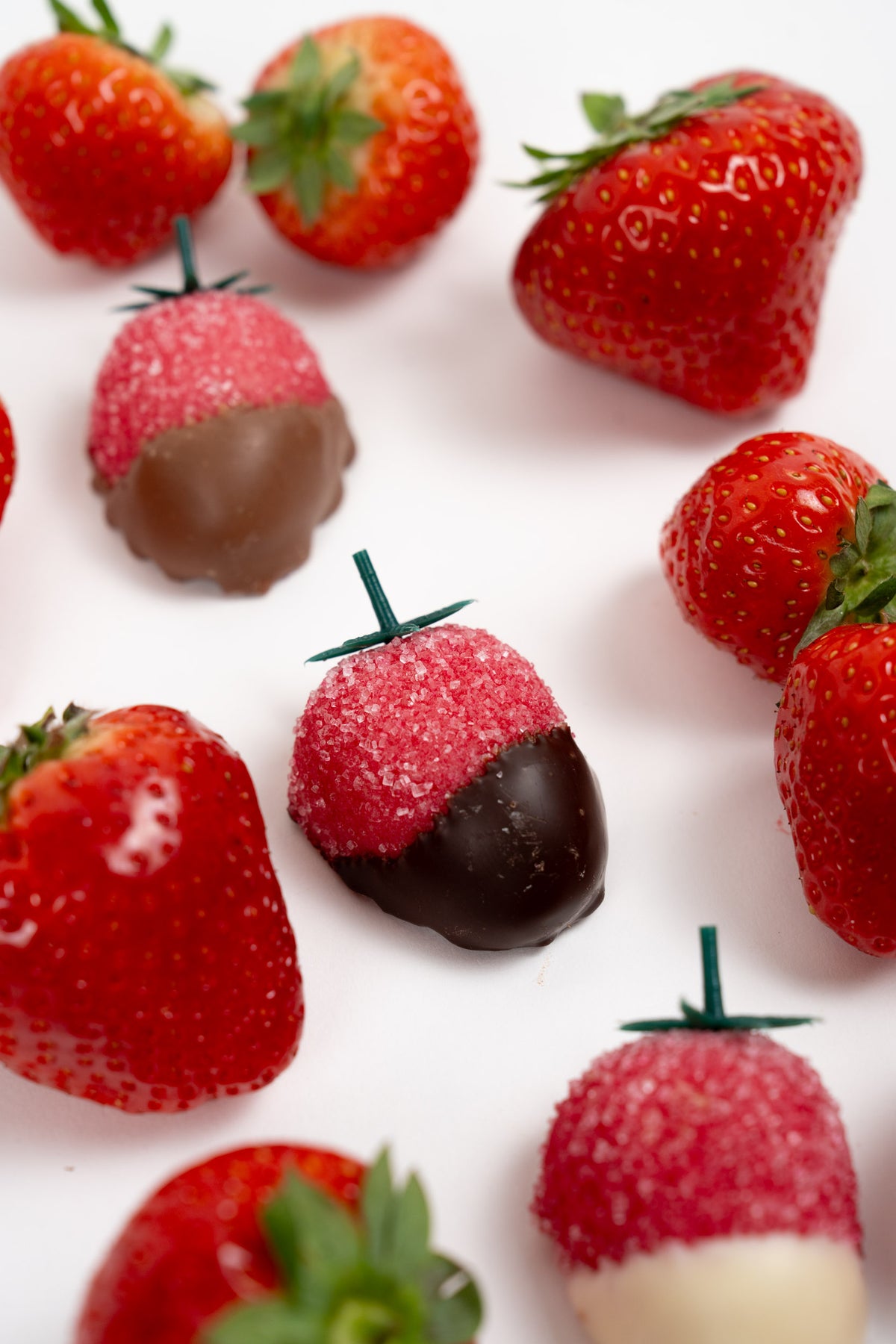 Chocolate-dipped marzipan strawberries with sugar coating surrounded by fresh strawberries
