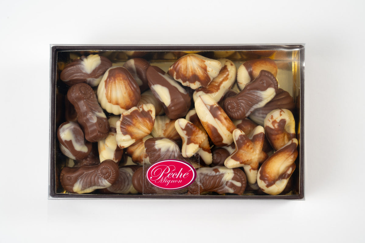 Top view of a rectangular Péché Mignon box of Belgian marbled milk and white chocolates shaped as seashells, starfish and seahorses.