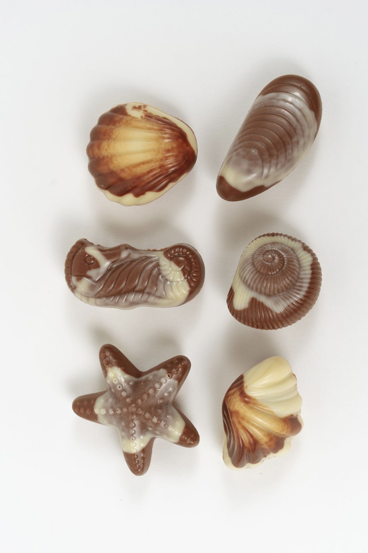 Belgische marmorierte Milch- und weiße Schokolade in Muschelformen