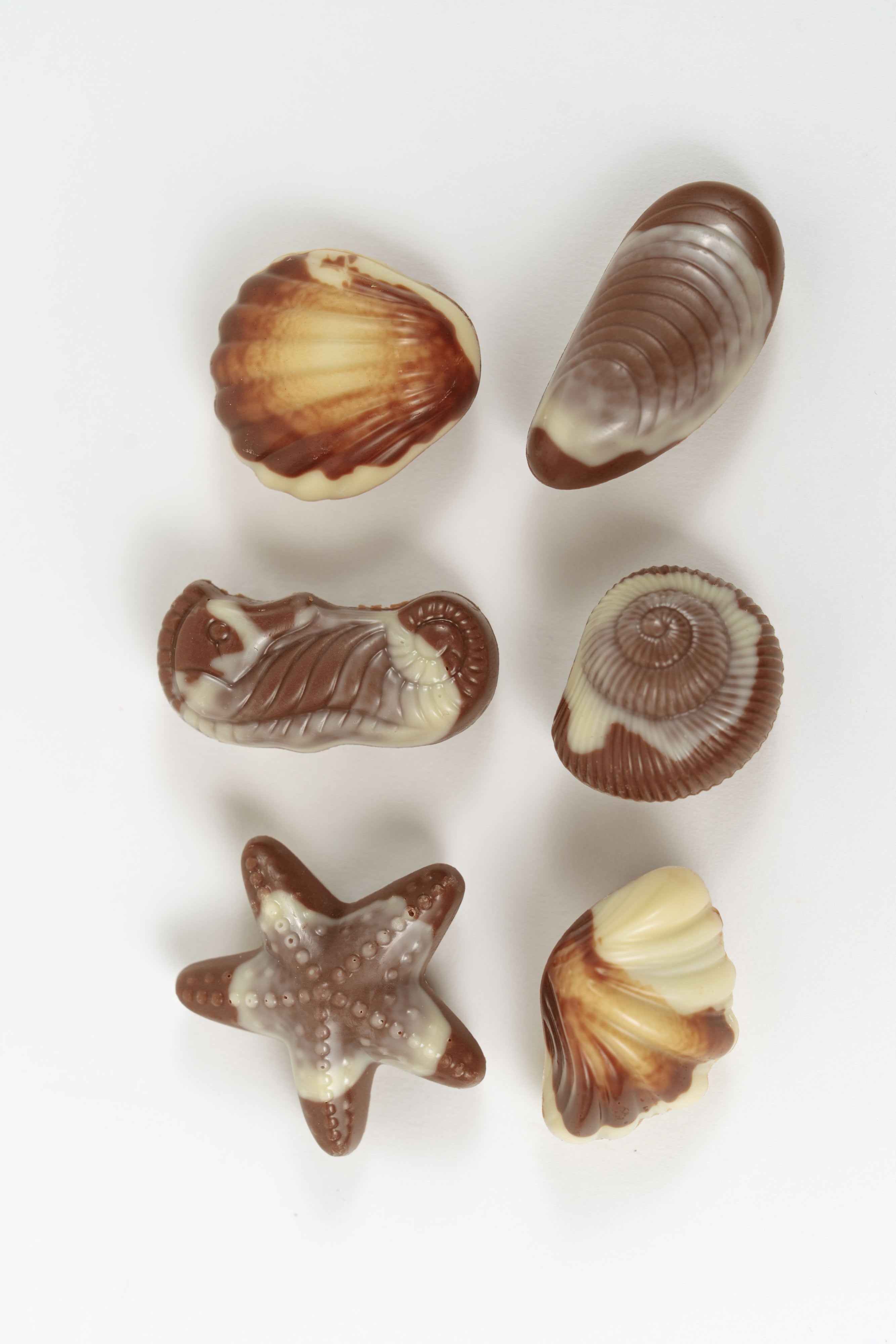 Belgian marbled milk and white chocolates shaped like seashells