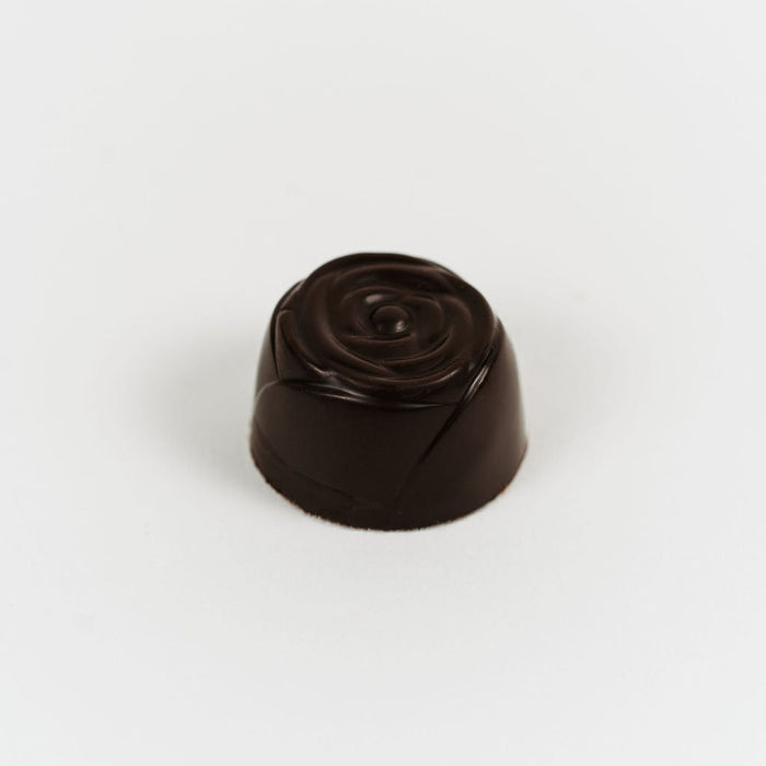 Artisan Belgian Beaulieu praline in dark chocolate with cream and hazelnut praline, on a white background.