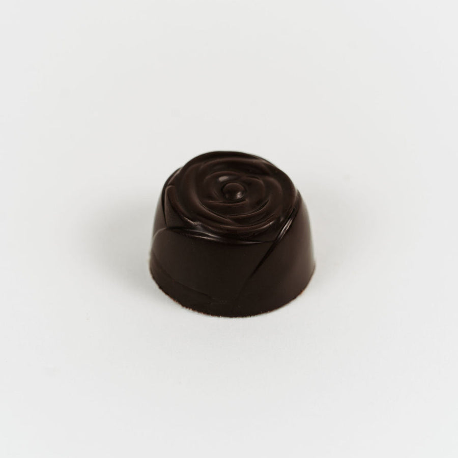 Artisan Belgian Beaulieu praline in dark chocolate with cream and hazelnut praline, on a white background.