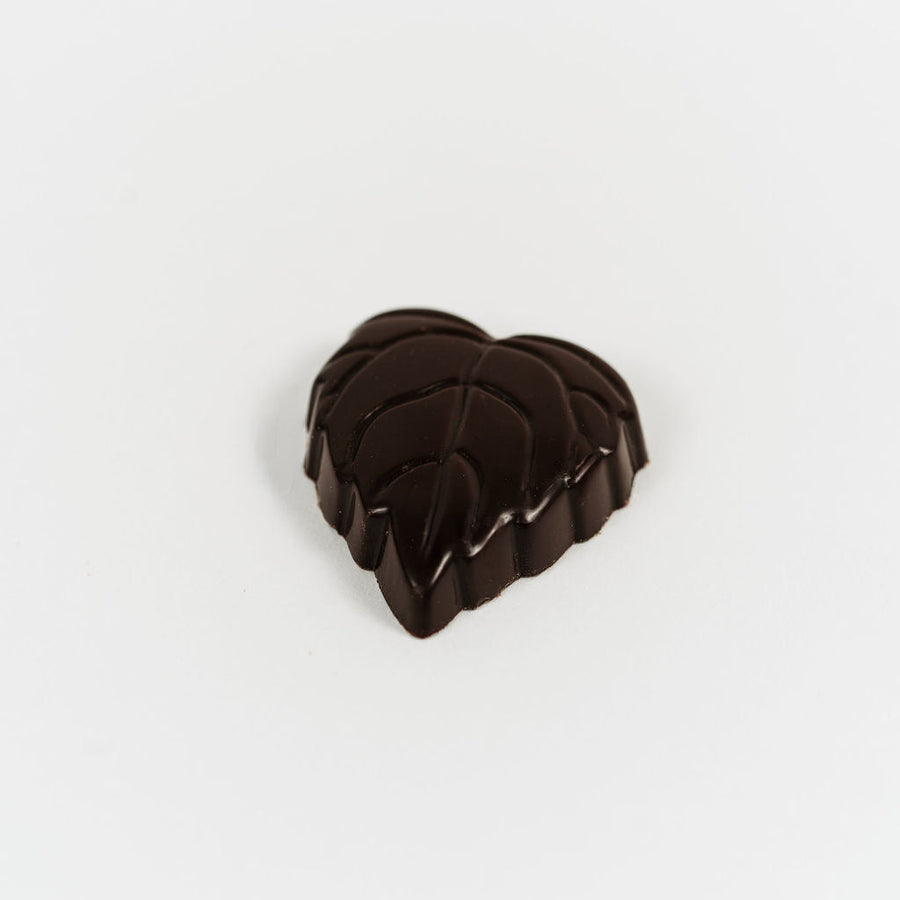 Artisan Belgian Citron Vert praline in dark chocolate with lemon ganache, on a white background.