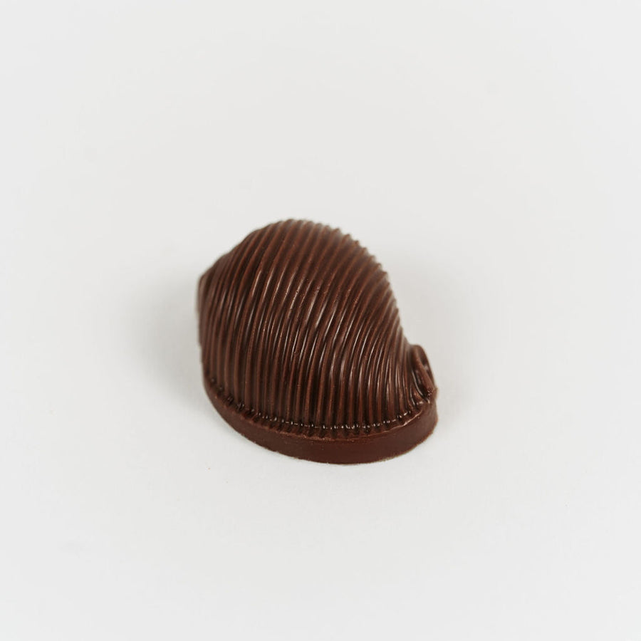 Artisan Belgian Coconaut Lait praline in milk chocolate with praline and coconut, on a white background.