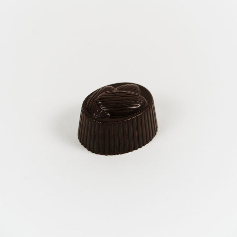 Artisan Belgian Montrachet praline in dark chocolate with cream flavoured with coffee extract, on a white background.