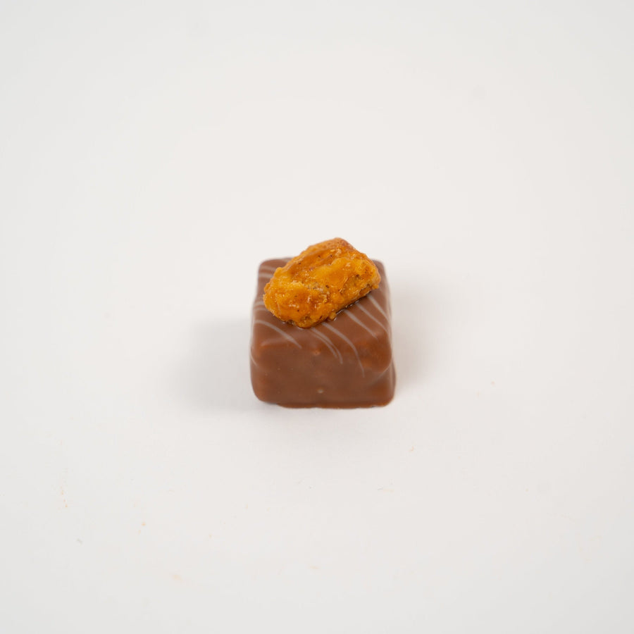Nessi Praline mit Nussnougat, Waffel und karamellisierten Mandeln
