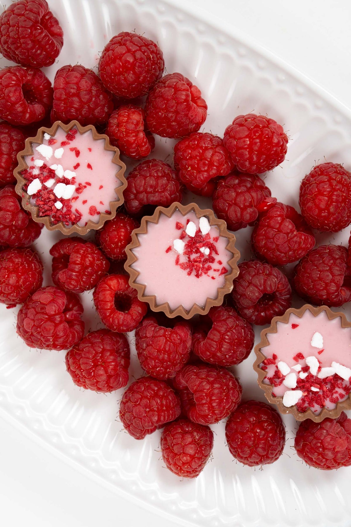 Close-up of raspberry chocolate tartelettes with pink raspberry ganache and fresh raspberries