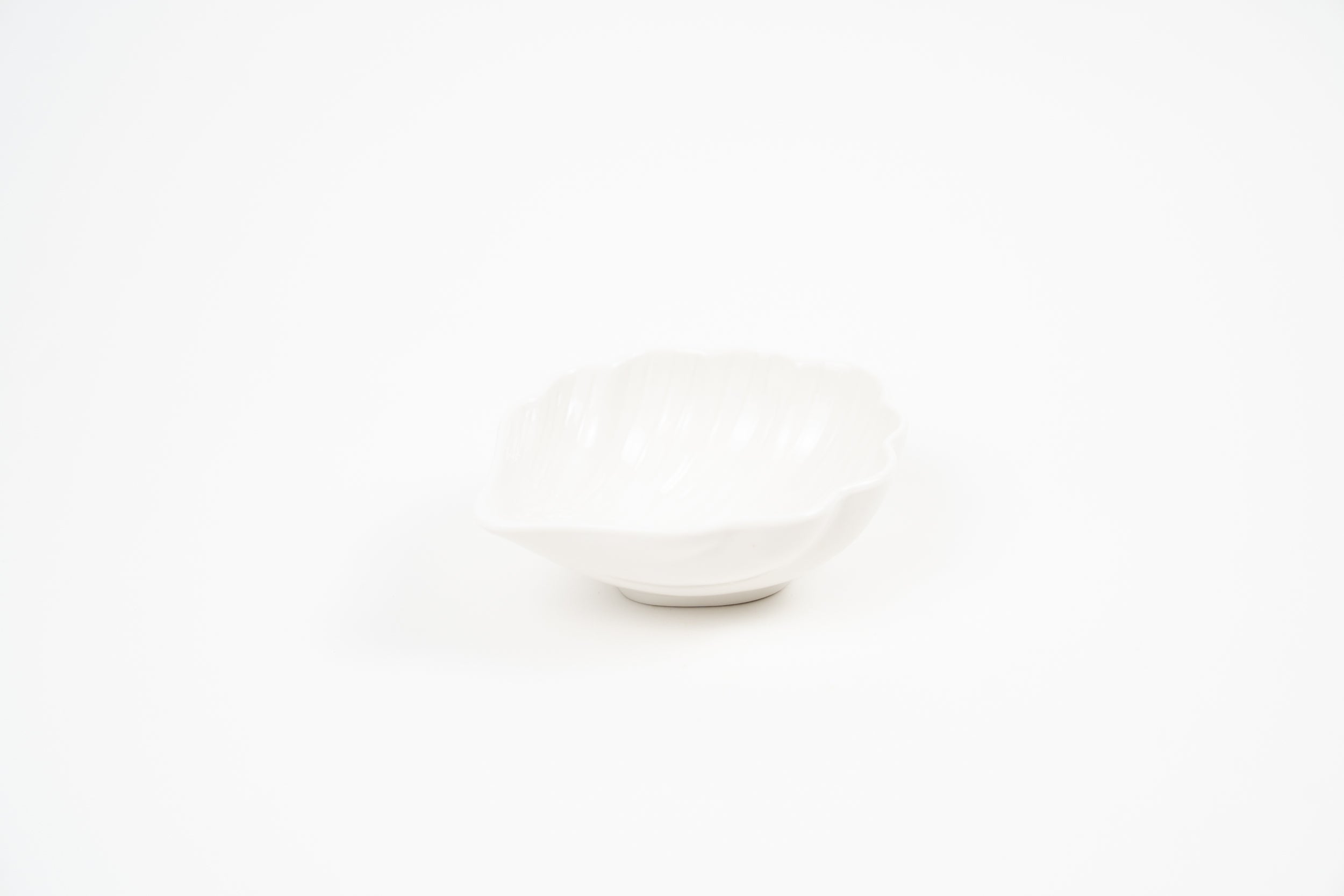 White ceramic shell bowl styled on a neutral stone surface in soft natural light.